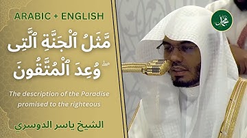 سورة محمد (12-19) | تلاوة تهز القلوب | الشيخ ياسر الدوسري | #ياسر_الدوسري