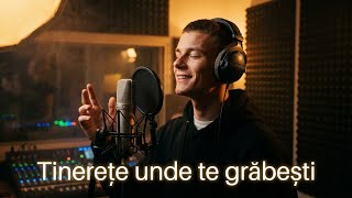 AP-Music Studio - Tinerețe unde te grăbești | Manele AI