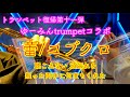 【第十一弾】蕾/コブクロをトランペットコラボ(ゆーみんtrumpet)でお届け!中学時代の恩師へ...。