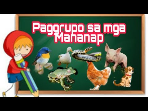 Grade 3 Science Q2 wk 3 || Paggrupo sa mga Mananap|| MTB Binisaya || Mga Hayop || Mga Mananap