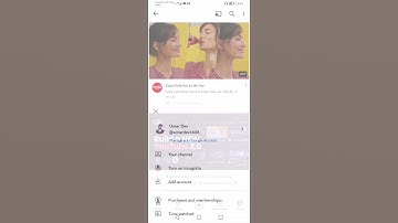 Deleting a Video from YouTube: What You Need to Know.
