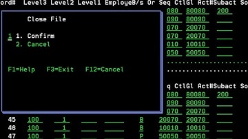 DBU   IBM iSeries AS400  file editor with remote data access