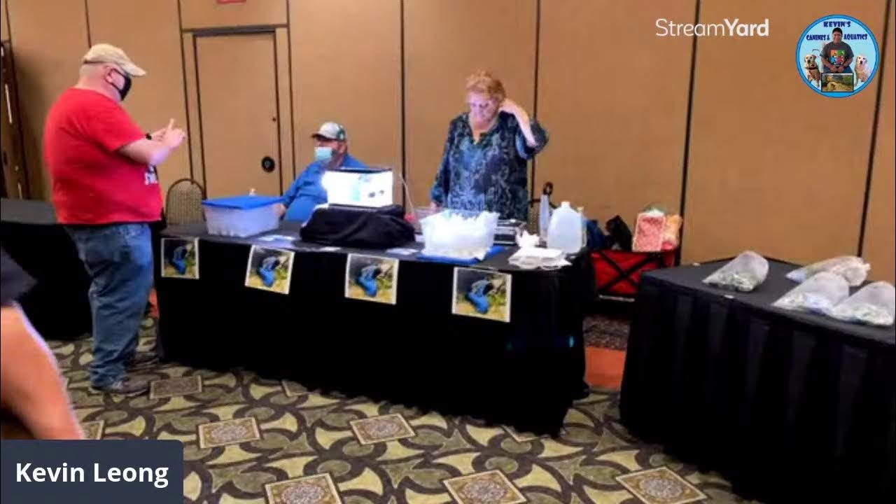 Fishtober fest YouTube