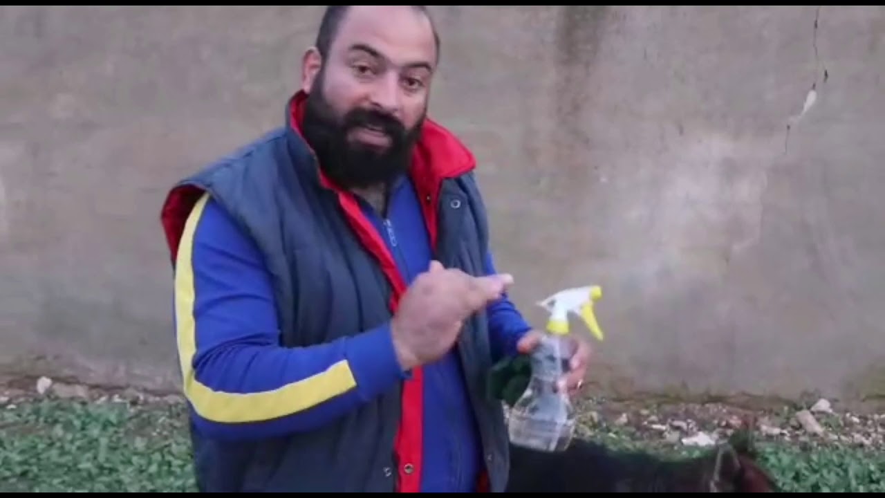 خل التفاح مفيد للكلاب....؟