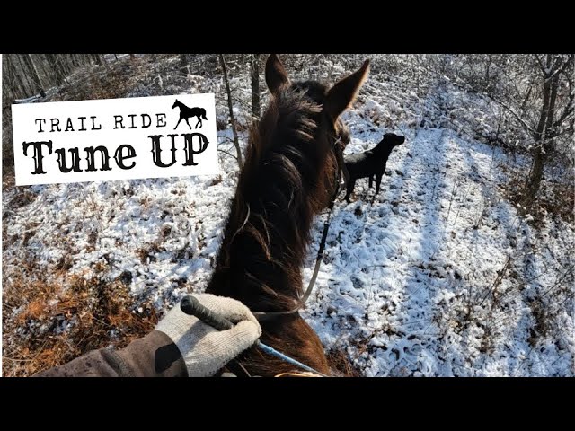 This Horse Is Being BAD!!! - Quick Tune Up And Trail Ride class=