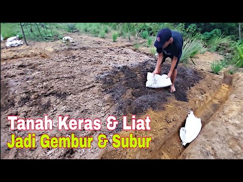 Video: Adakah tanah liat polimer menjadi keras apabila dibakar?