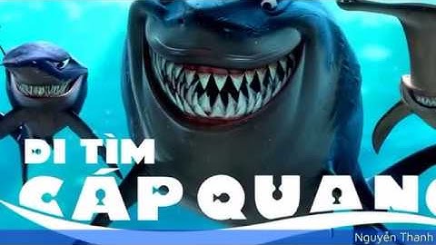 1001 thắc mắc: Vì sao cá mập thích cắn cáp quang biển