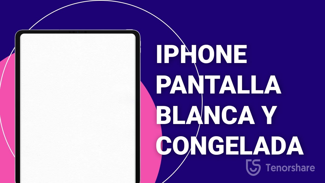 iPhone pantalla blanca | cómo resolver iPhone pantalla blanca y