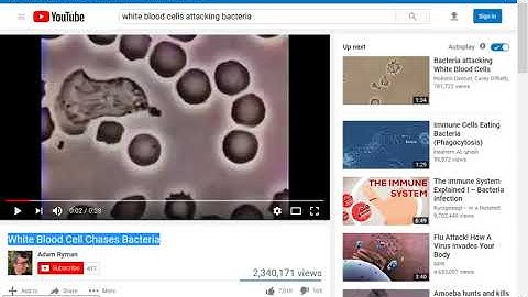 Add YouTube or Vimeo Video App and Embed videos into Canvas
