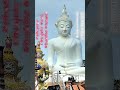 #caesper #puedpien #tempel #silvester #neujahr #wat #buddha #frieden #gesundheit #feiern #party #bln