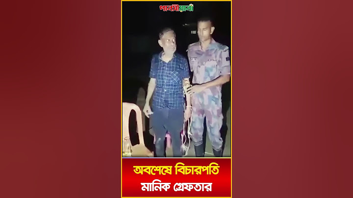 সিলেট সীমান্তের জঙ্গল থেকে বিজিবির হাতে বিচারপতি মানিক আটক | Bicharpoti Manik Atok | Pansiyana