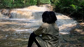 I spent a night camping alone in Mabira Forest 🌳
