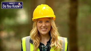 How are Wooden Tables made? Maddie's Do You Know? 👩