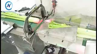 fruit，vegetable packaging machine