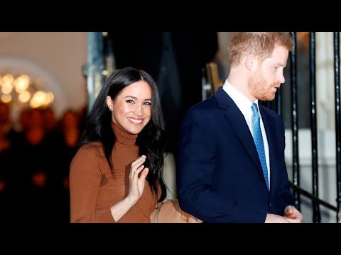Meghan Markle has ‘fundamentally captured’ Prince Harry and changed him