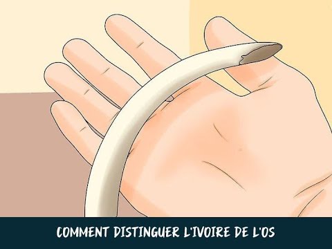 Vidéo: Comment porter la grosse ceinture : 8 étapes (avec photos)