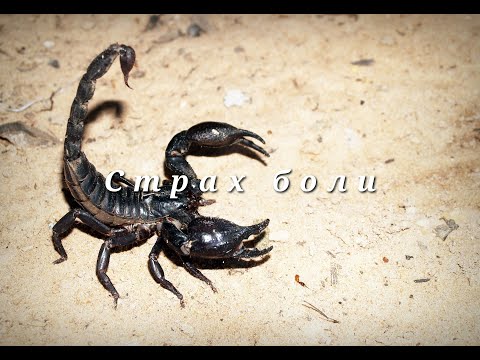 Страх боли / Nikosho