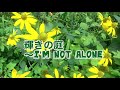 輝きの庭〜I’m not alone〜/手嶌 葵【アコギ弾き語り】covered by chiharu