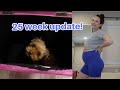 Pregnancy Update &amp; Vlog | 25 weeks