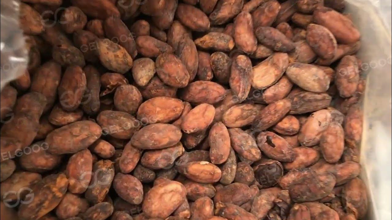 How to make cocoa powder? Cocoa Powder Production Line From A to Z