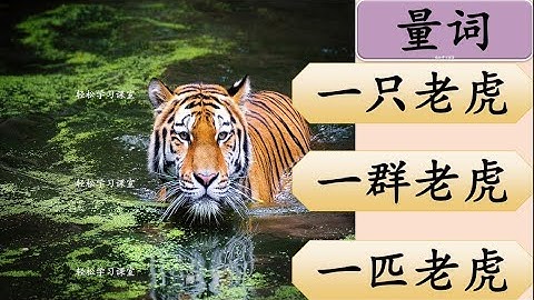 量词练习 25 Measure Words Exercise Learn Chinese Measure Words 只zhi 线xian 箱xiang 则ze 张zhang 项xiang 桩 座