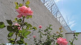 Desde las entrañas del Penal de Tepic...