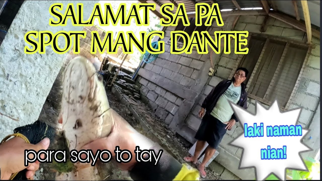 MATAGAL NABAKANTE MAKAKATIKIM NA ULI NG ISDA SA TIKSAY /Airgun Fishing /Fishgunerong Madiskarte