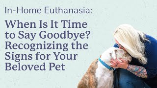 When Is It Time to Say Goodbye? Recognizing the Signs for Your Beloved Pet Profile