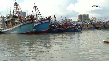 TP.HCM xóa đăng ký vĩnh viễn đối với 477 tàu cá | BRTgo