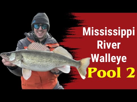FAT Mississippi River Walleyes (Pool 2) 