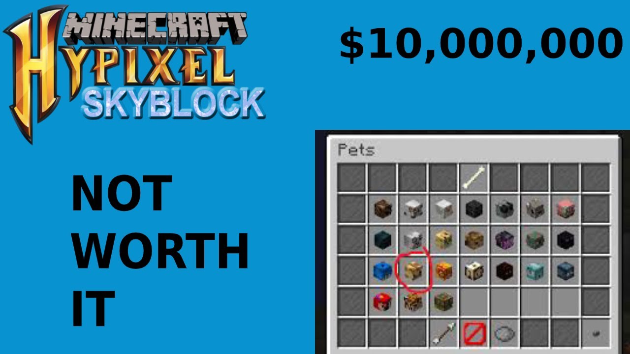 Why you should NOT get the giraffe pet. (Hypixel skyblock) YouTube