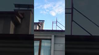 Son Baharmı Geldi Resimi