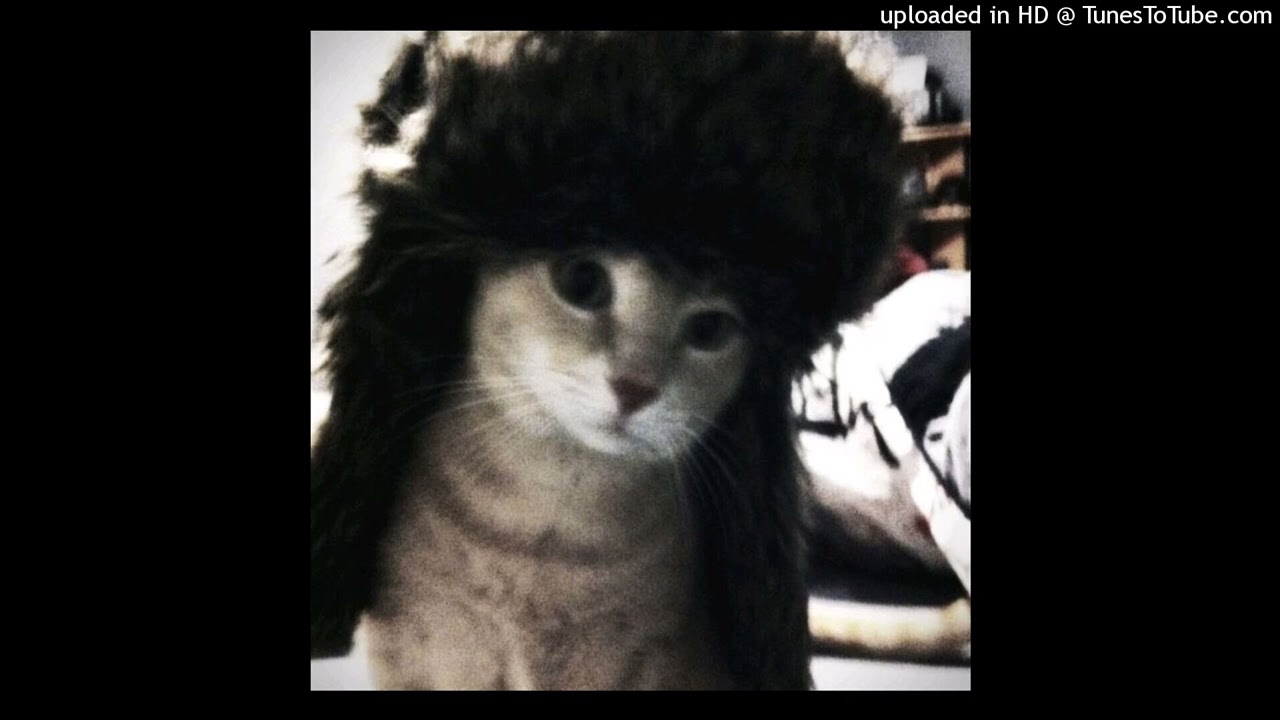 (free) old money type beat