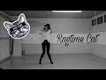 Parov Stelar - Ragtime Cat (ft. Lilja Bloom) | lookslikelin