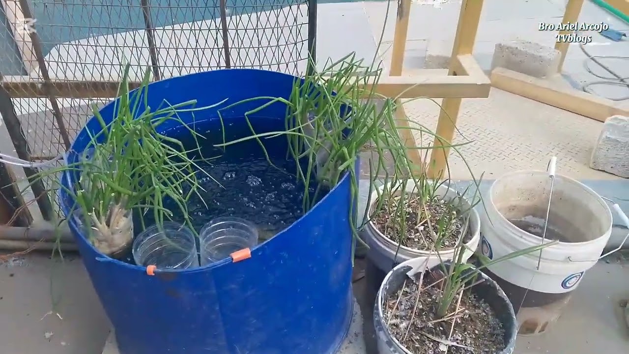 Update sa mga pinagkakalibangan dito sa Kuwait...