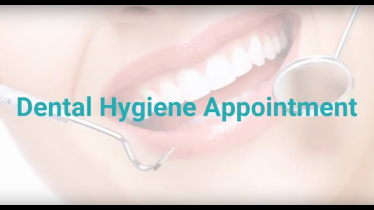 Dental Hygiene Appointment YouTube