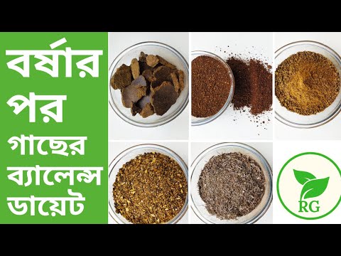 ভিডিও: বড় সন্তানের Ofর্ষা কীভাবে এড়ানো যায়