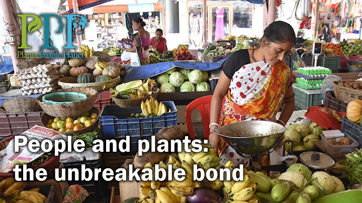 Sandra Knapp  People and plants: the unbreakable b...