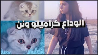 مؤثر .. نور تبكي على القطط وماتوقعت اللي صار !