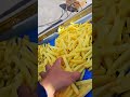 How should a 2-ton-per-hour French fries production line be matched One video makes it