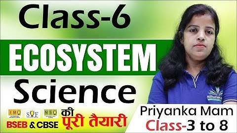 Class 6 Science |Day 11|Olympiad Preparation Practice Series