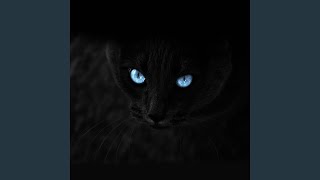 Black Chunni - A bazz