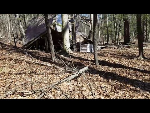 spring has SPRUNG! forest stroll soft spoken ASMR