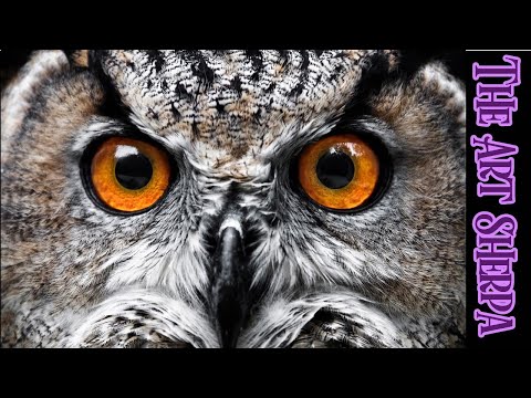 Owl Eyes and feathers  😈🧙‍♀️🕷 13 Days of Halloween  Acrylic painting Tutorial Step by Step