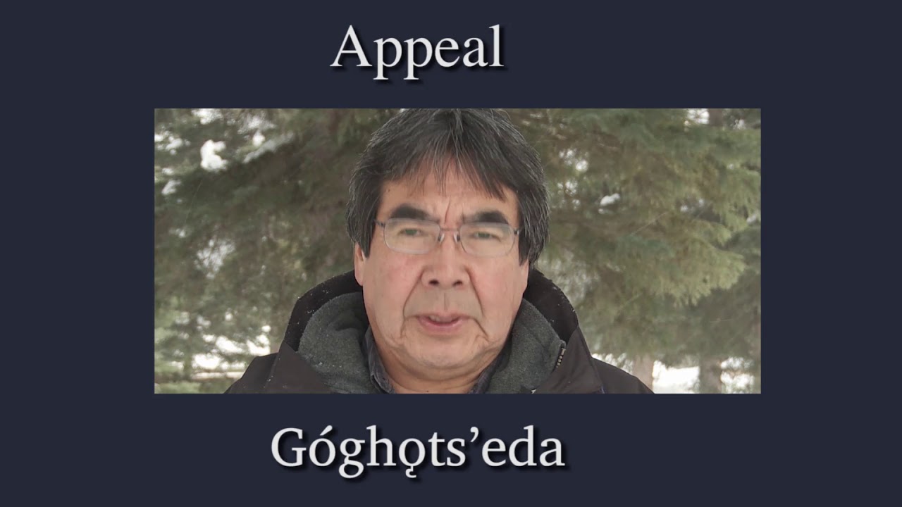 Appeal YouTube