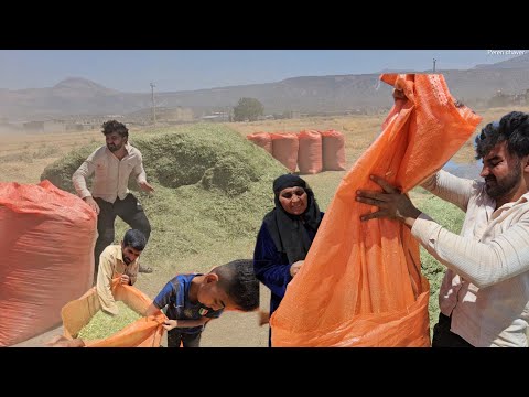 From buying shoes to collecting hay in a storm | Real rural life