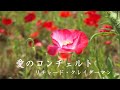 愛のコンチェルト  リチャード・クレイダーマン