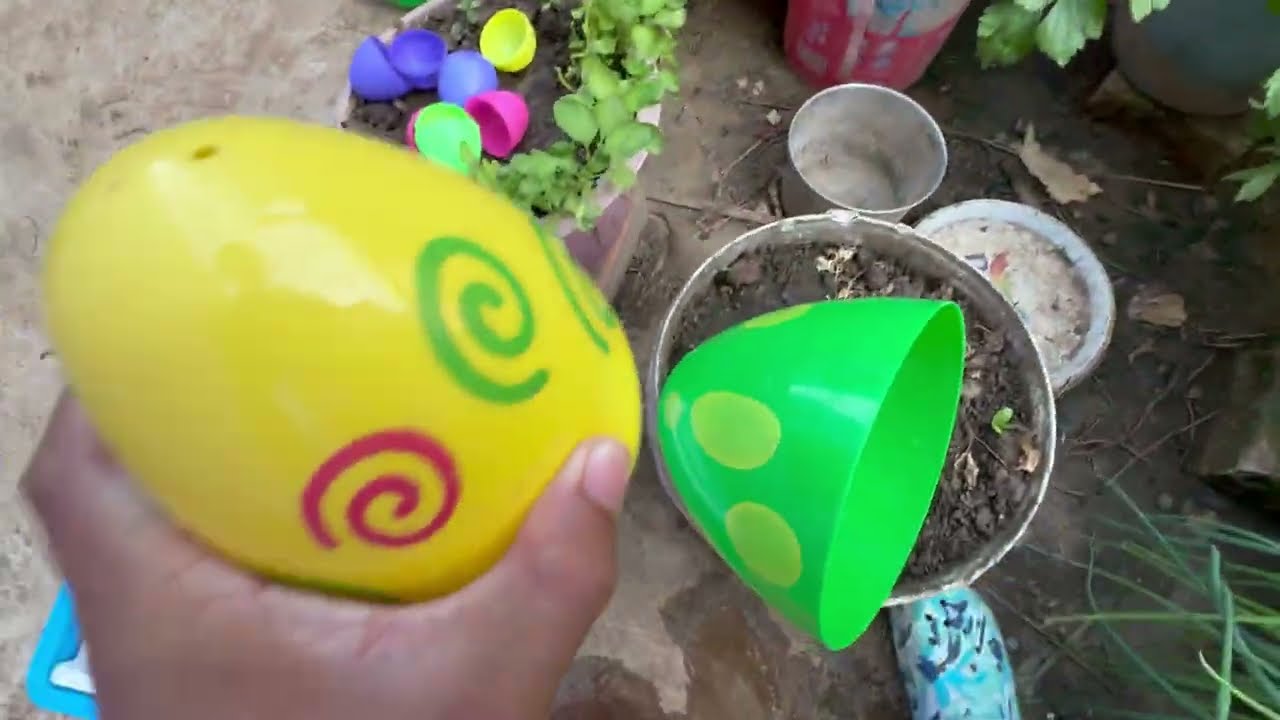 Catch Exotic Aquarium Fish from Colorful Giant Eggs