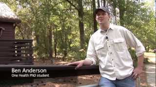Why choose graduate training at the University of Florida?