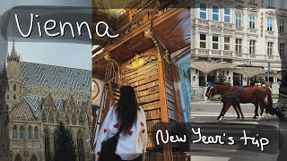 Новый год в Европе. Вена. День 1-2 || New year's trip. Vienna. Day 1-2